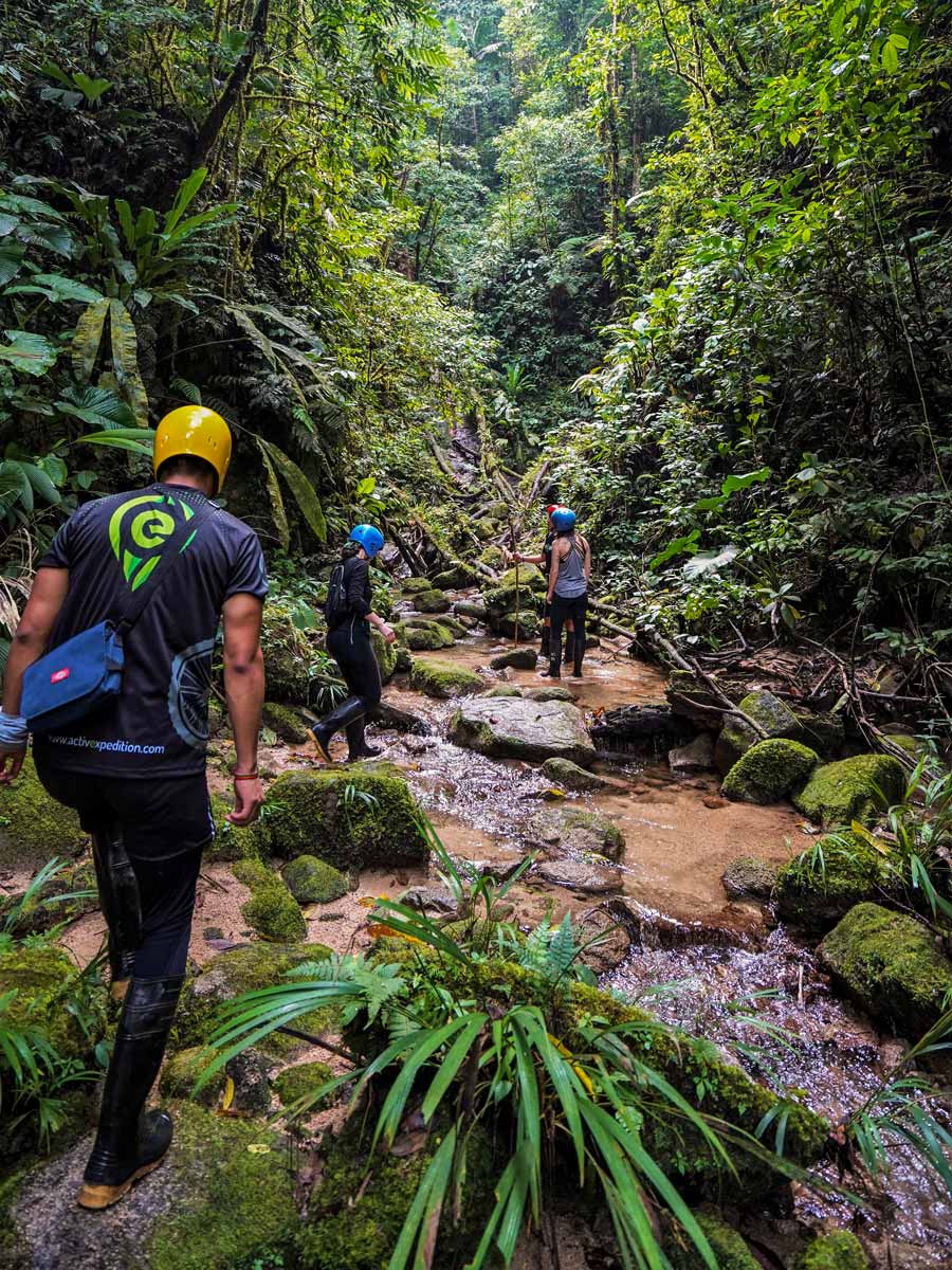 Exploring the jungle guided adventure tour Peru Ecuador