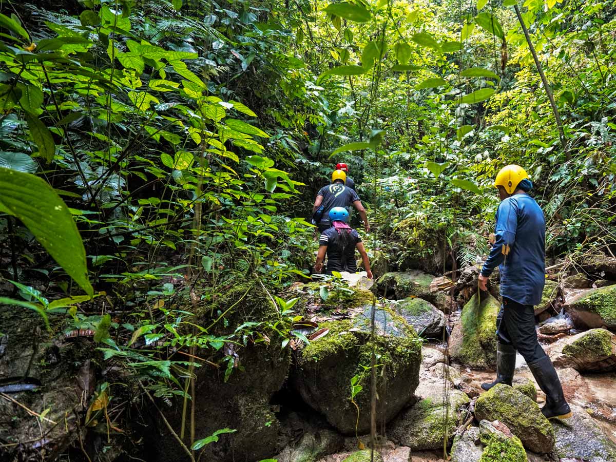 Nature walk in the jungle along adventure tour photo Peru Ecuador