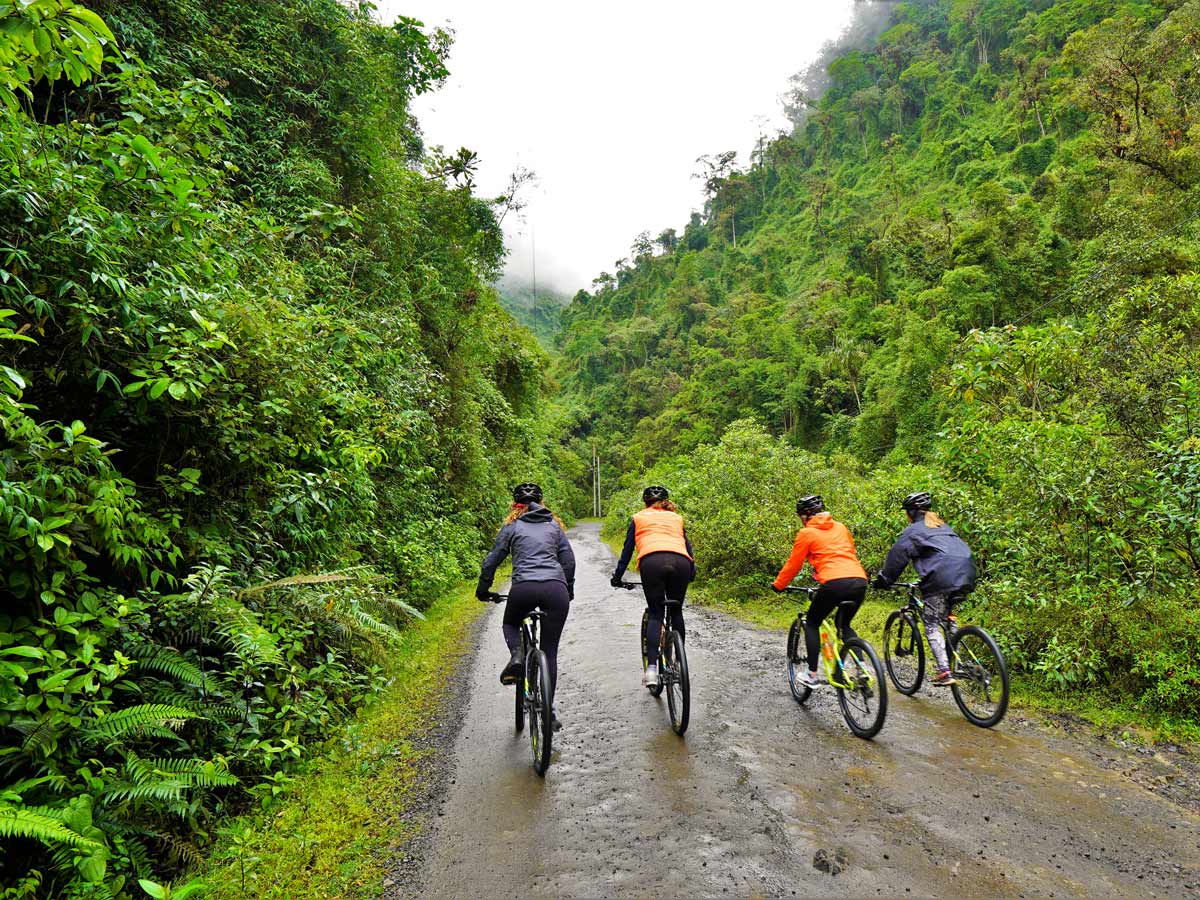 Rural natural rainforest mountain trail biking