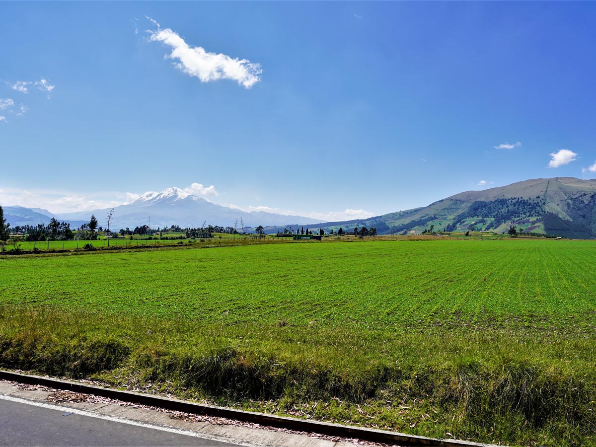 Farm fields and mountains