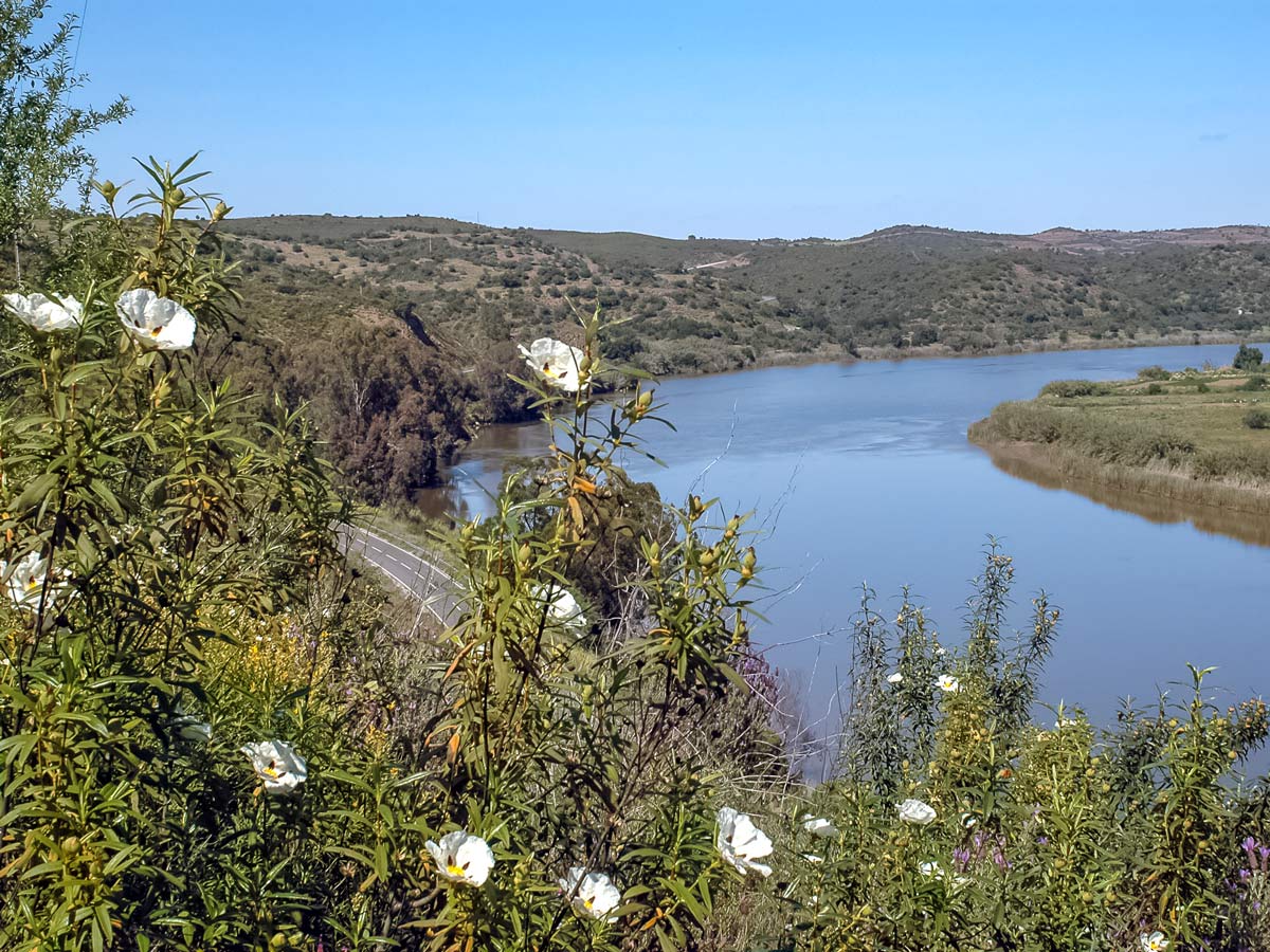 Road biking in Portugal Rio Flores flowers road river