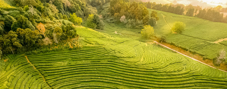 Azores Islands Walking Tour