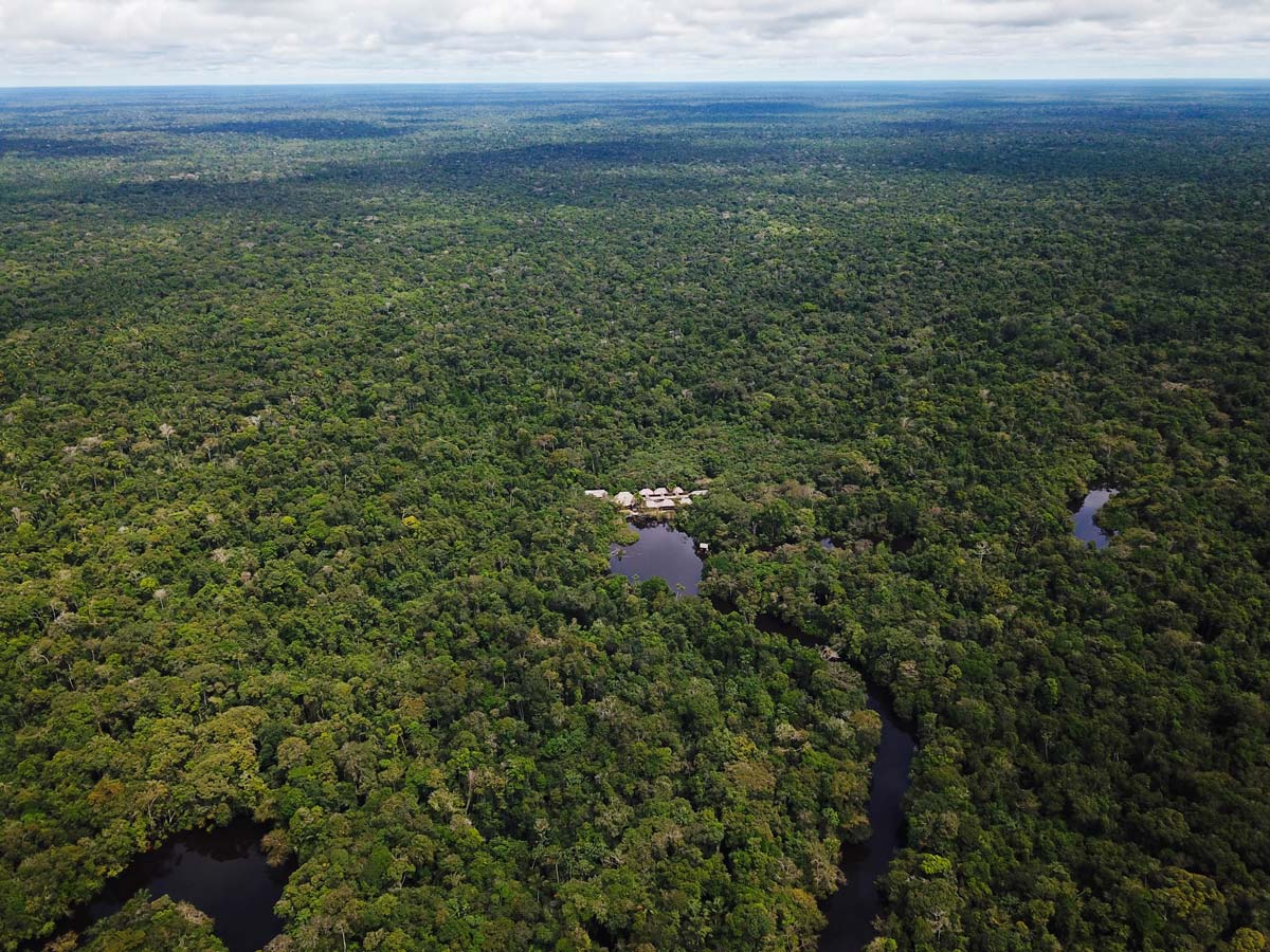 Aerial view birding expedition Amazon Peru