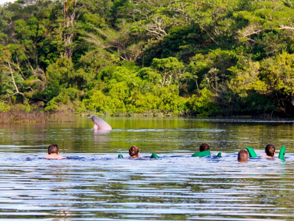 amazon river camping trips