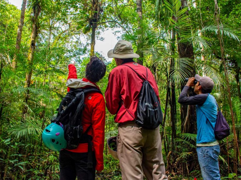 4-Day Amazon Rainforest Adventure in Peru | 10Adventures