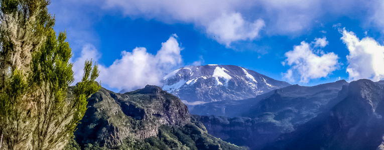 7-Day Mount Kilimanjaro on Umbwe Route