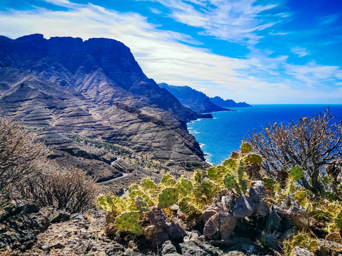 Hiking trails Spain coastline cactus plants