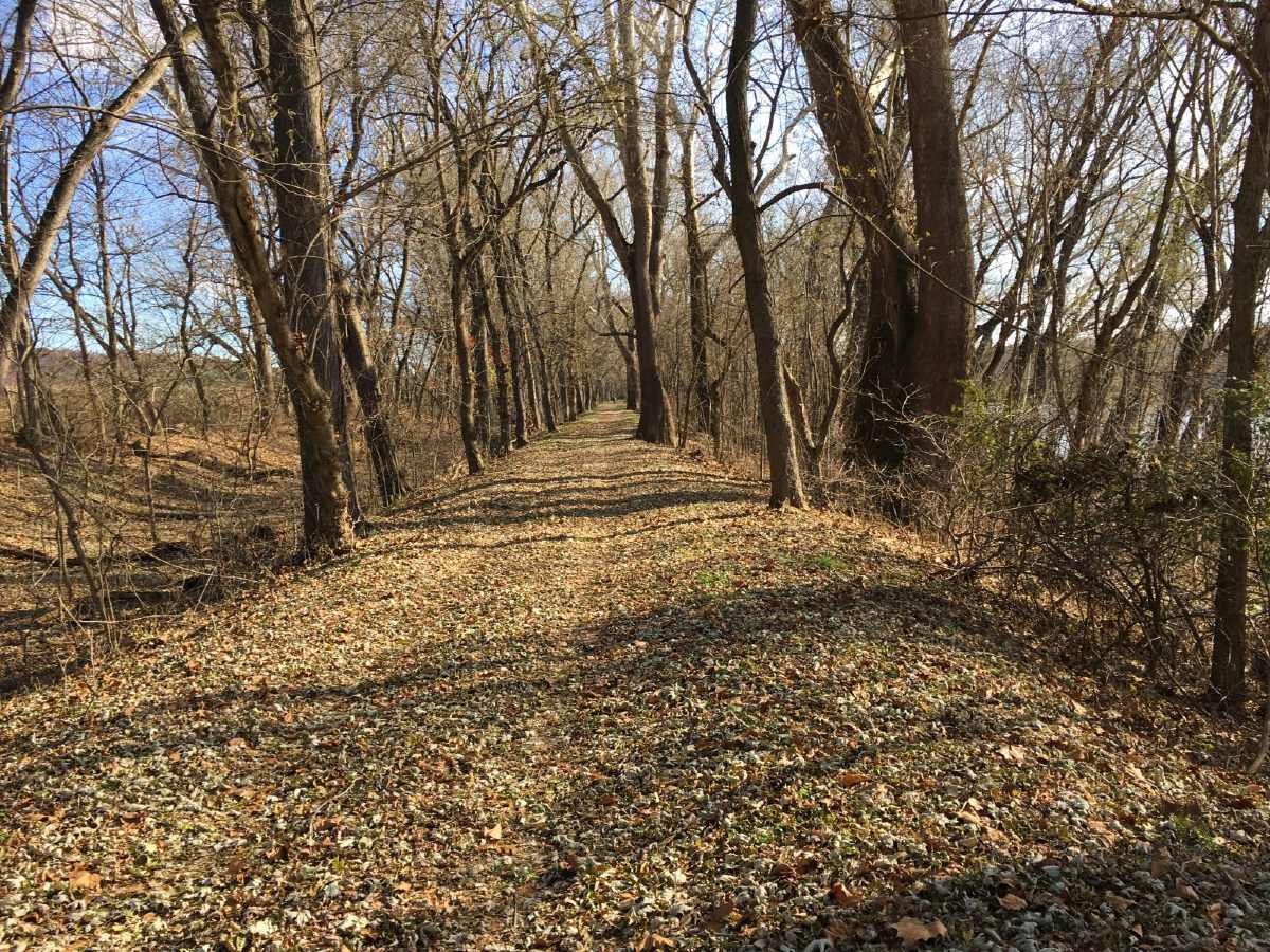 Autumn along the Great Alleghney Passage