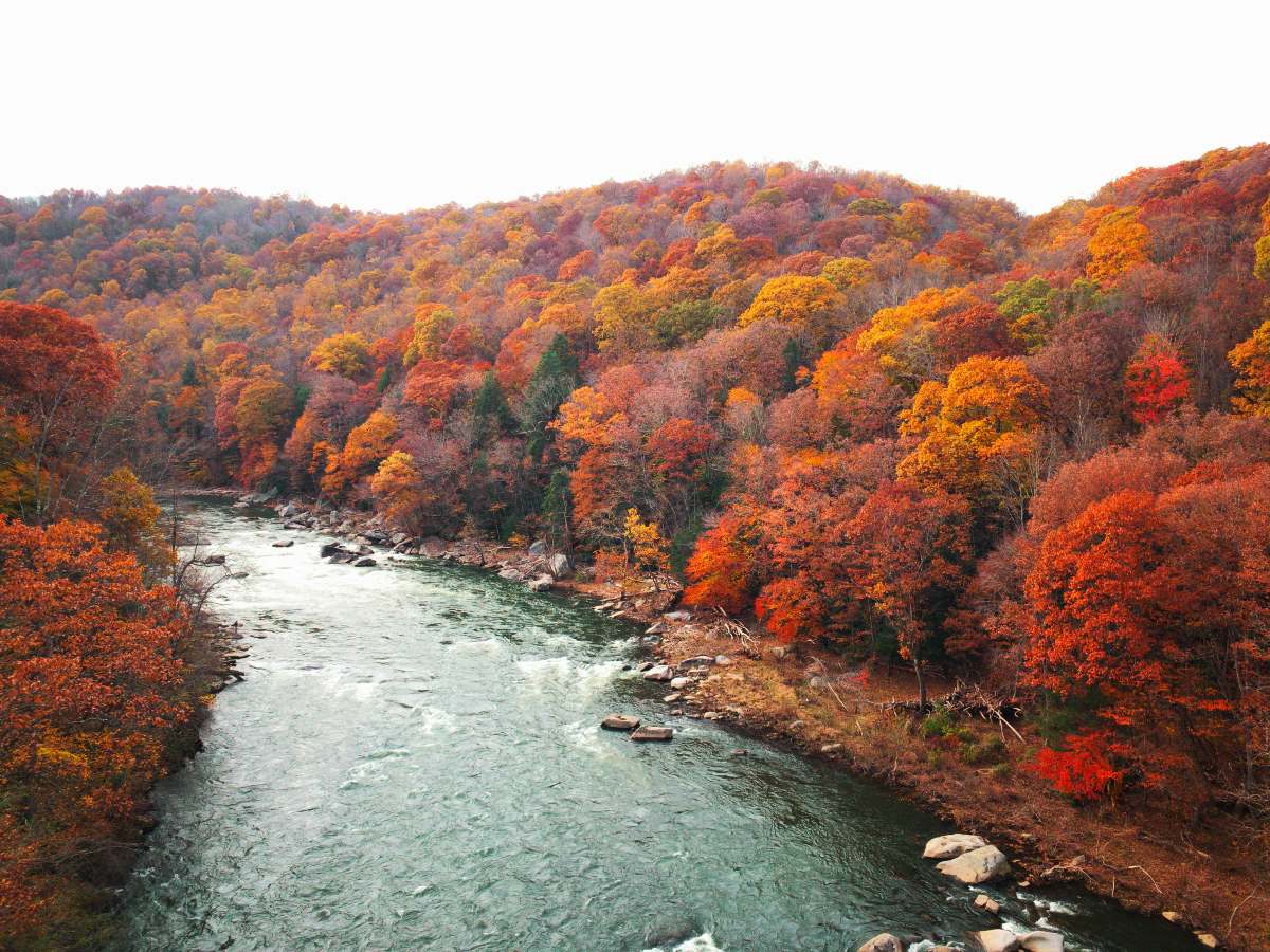 Autumn along the Great Allegheny Passage