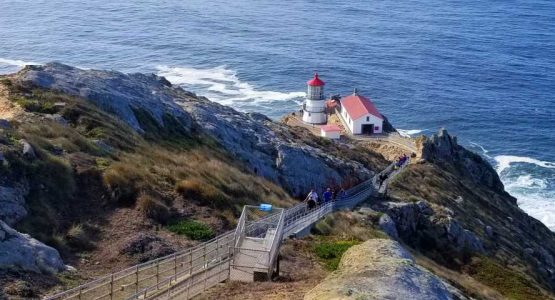 Point Reyes Hiking Tour