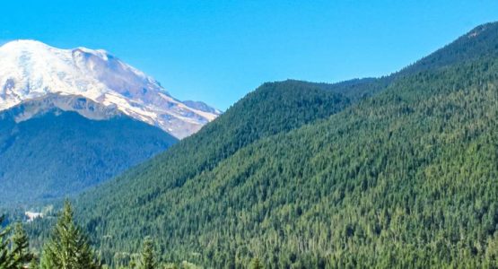 Mount Rainier Hiking Adventure