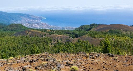 Best of La Palma Walking Tour