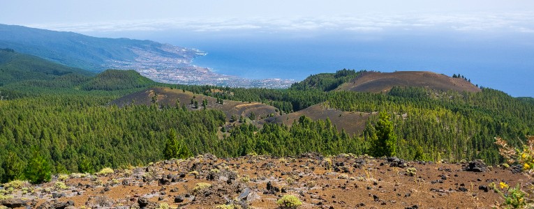 Best of La Palma Walking Tour