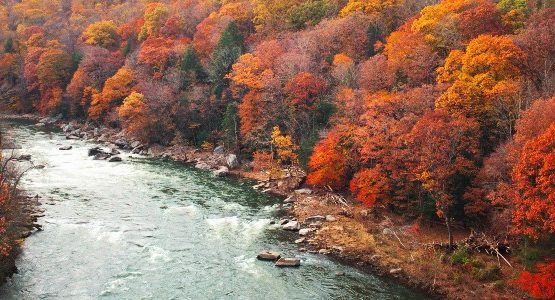 Great Allegheny Passage Biking