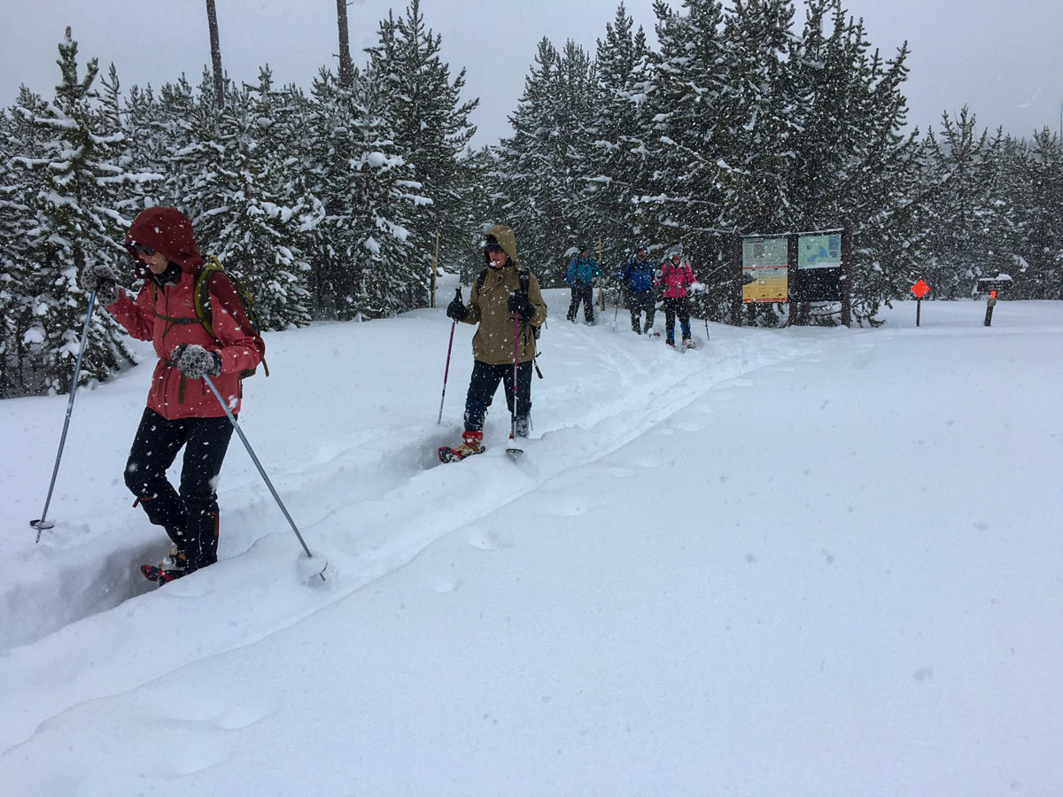 Yellowstone snow FernCascades junction snowshoe adventure tour Yellowstone National Park USA