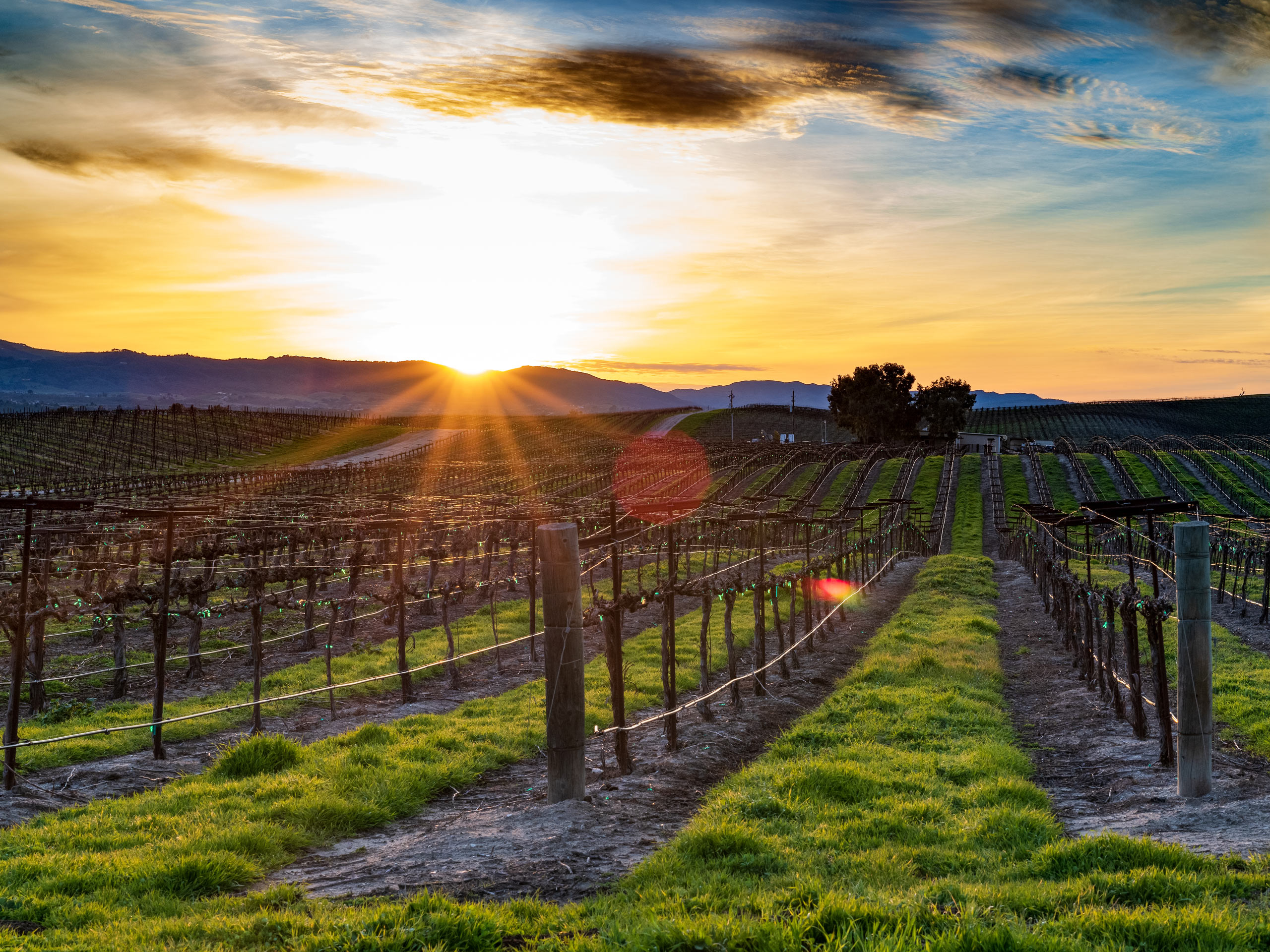 Paso Robles wine country California road biking adventure