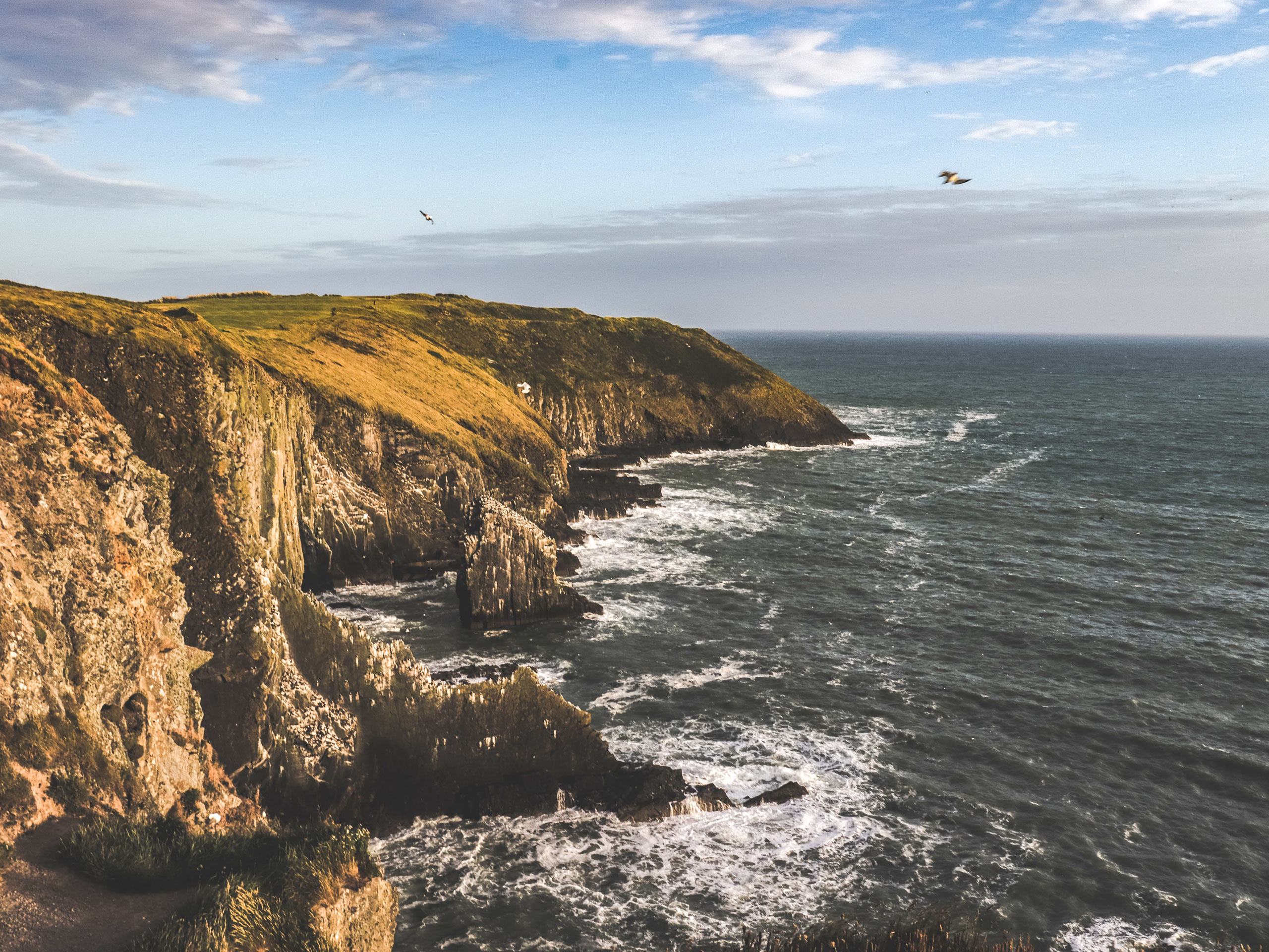 Rocky coastline in Ireland