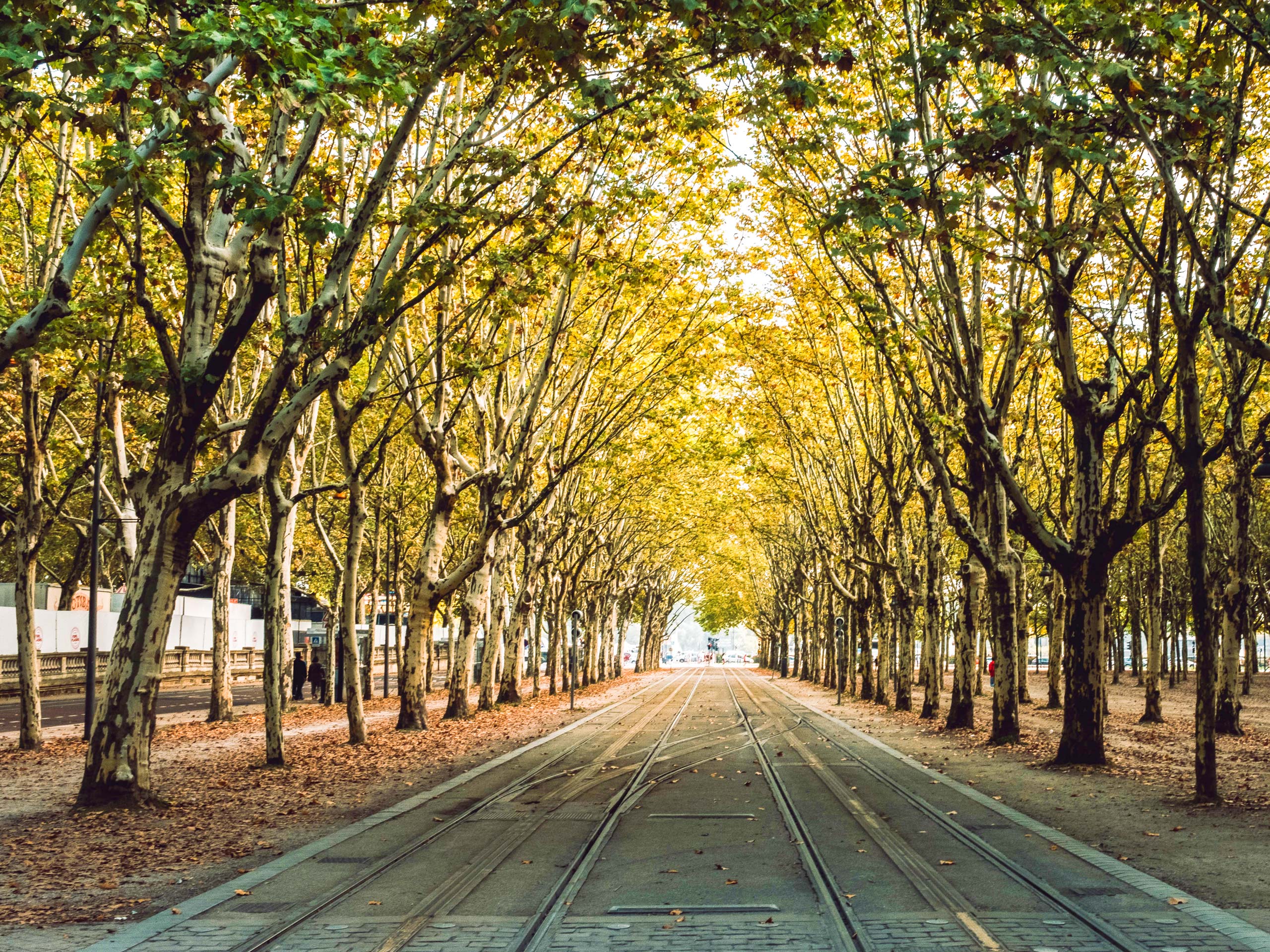 Tram rails in the park Bordeaux