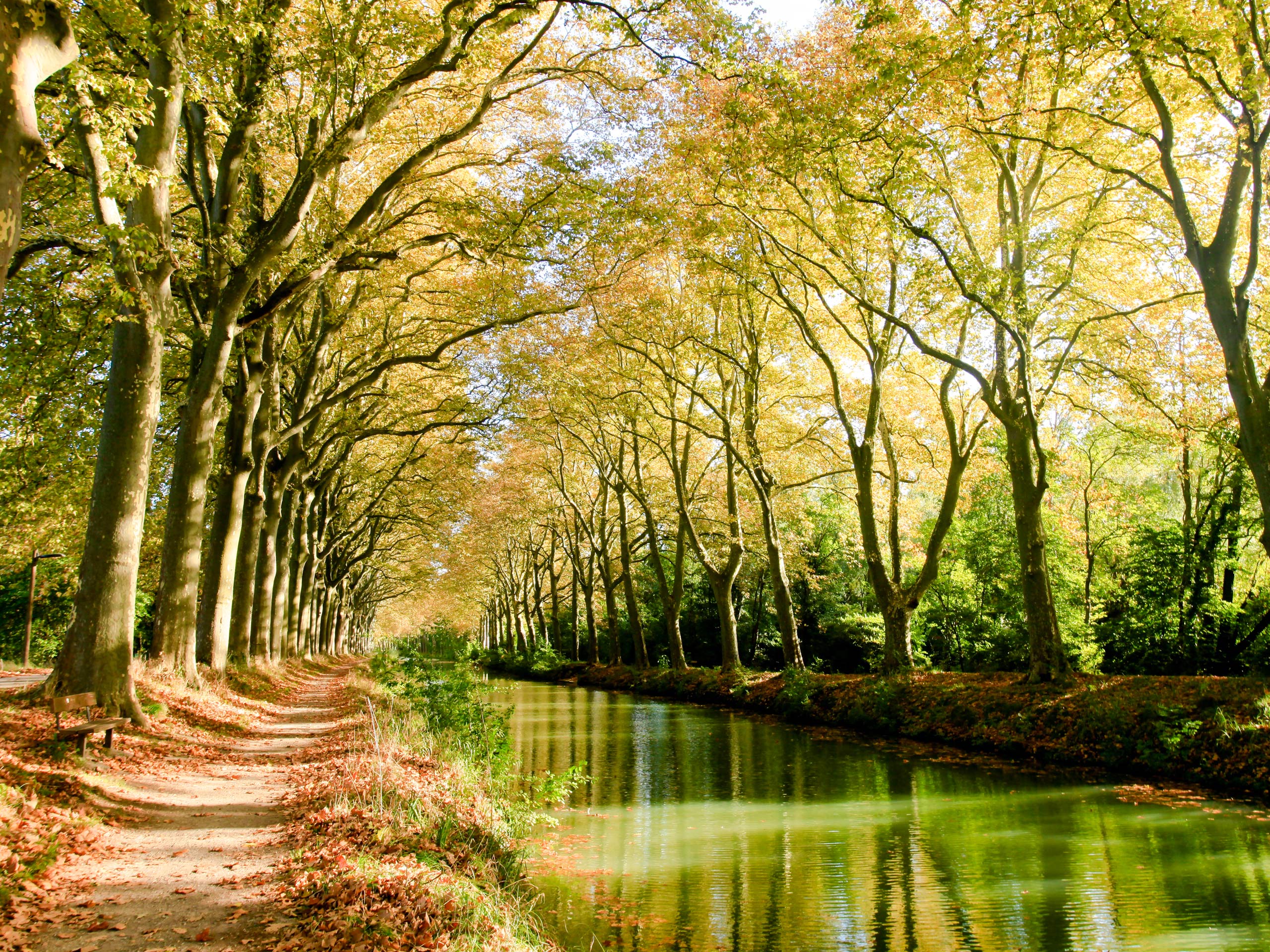 Toulouse canal in the park