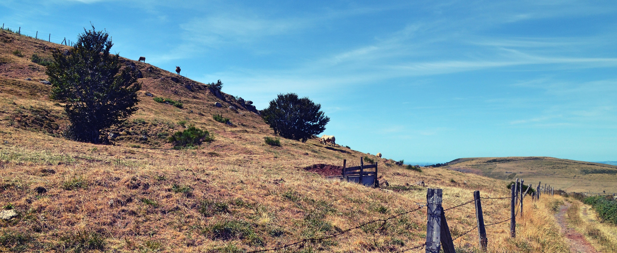 Walk the Le Puy Camino: Le Puy to Aumont