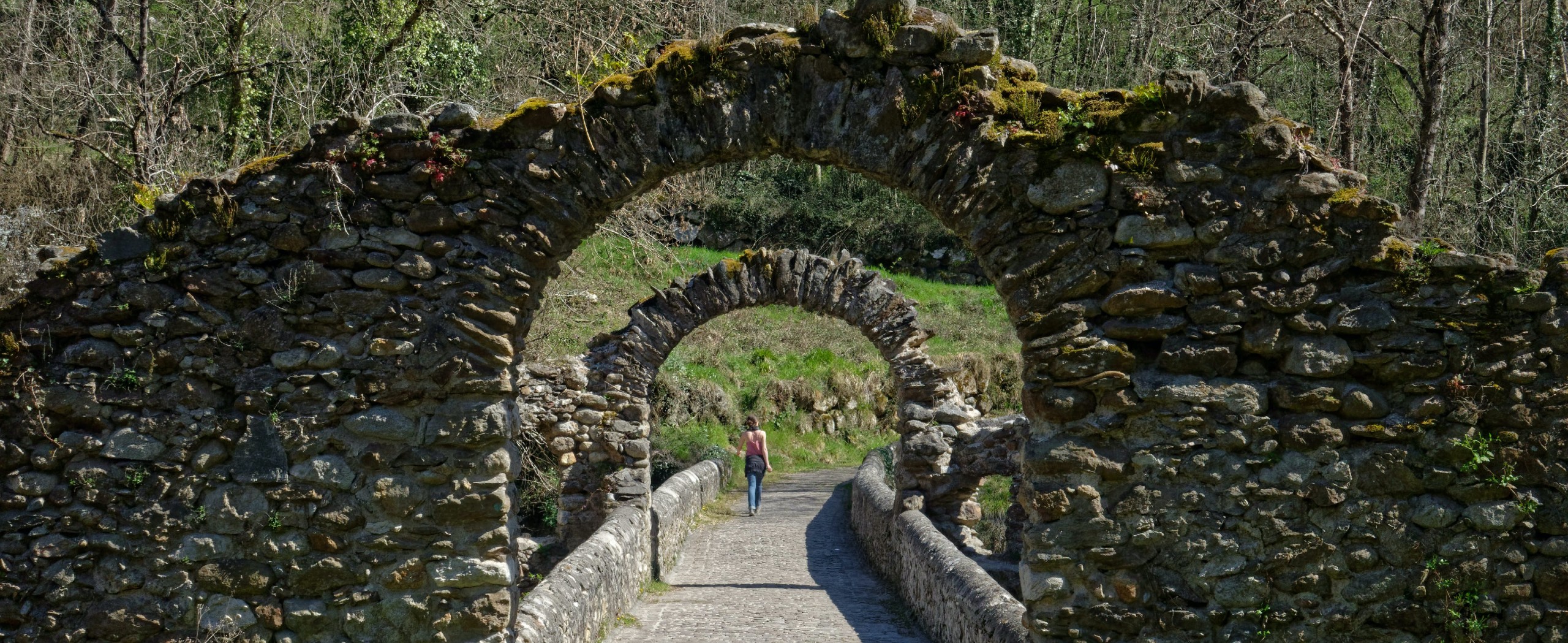 Provence by Bike: Villages, History, and Wine