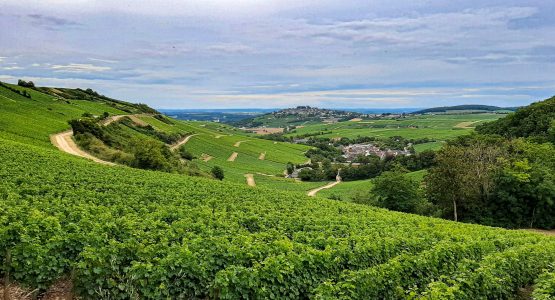 Loire Valley by Bike: Nevers to Orléans