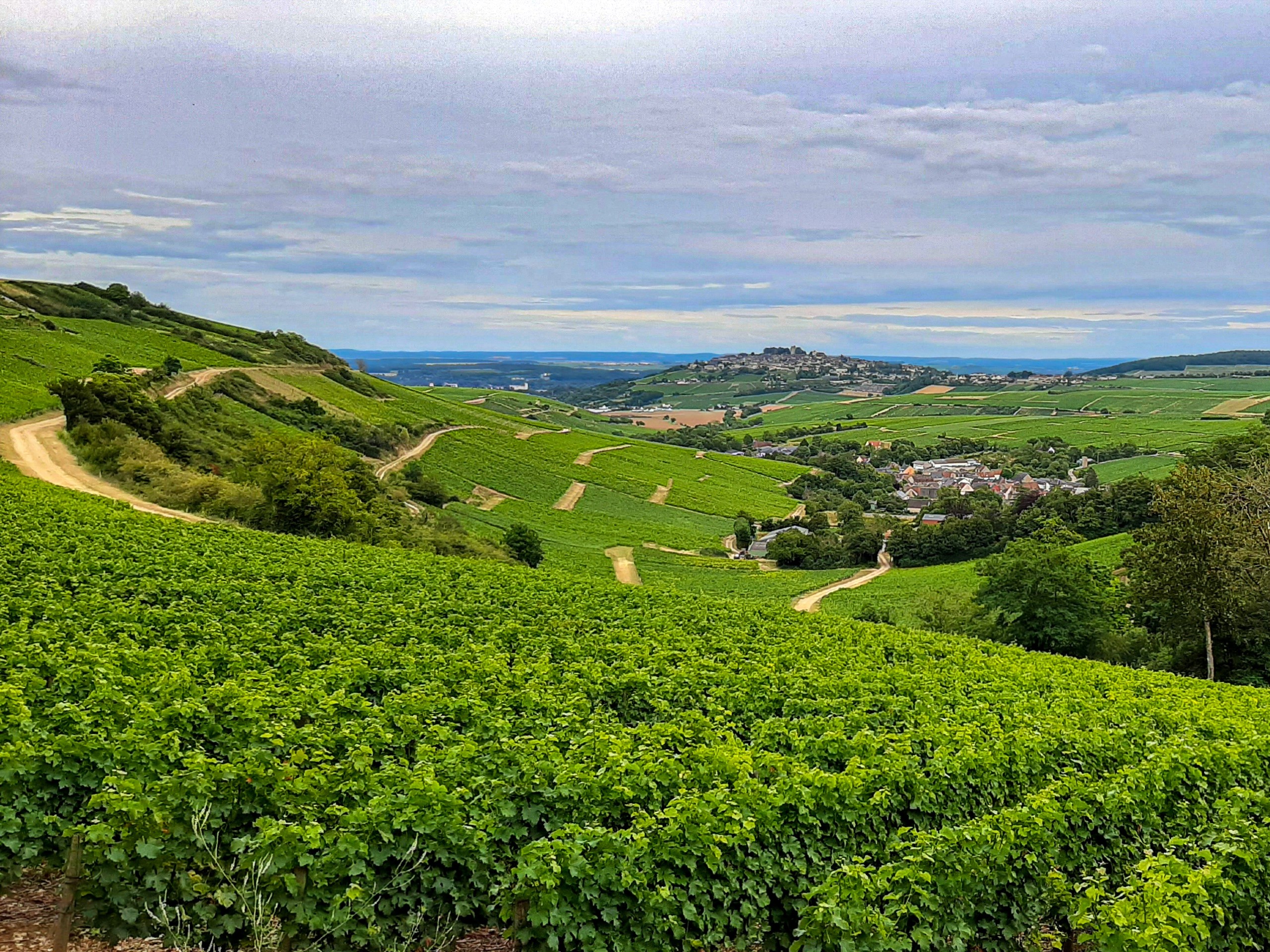 Sancerre in France