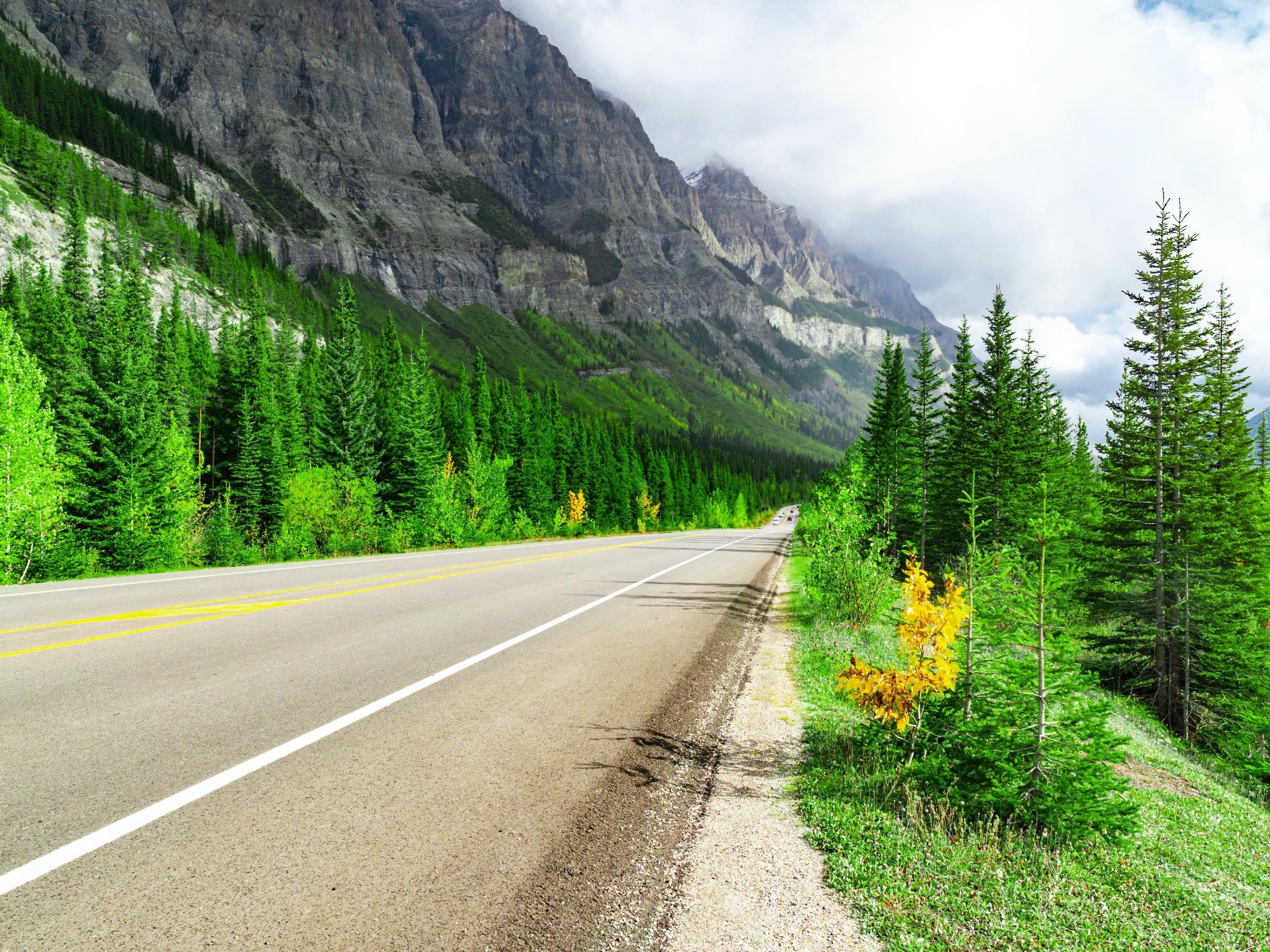 Road near Athabasca Glacier (Icefields Parkway)