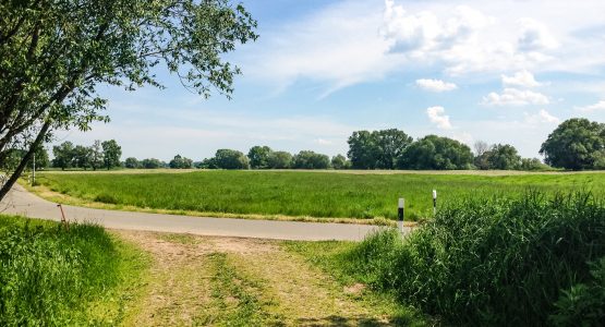 Magdeburg to Hamburg Cycling Tour