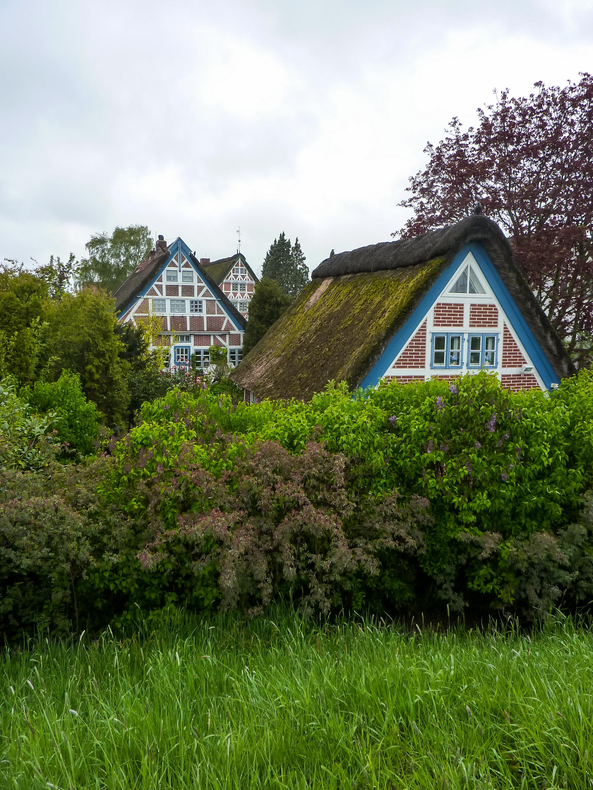 Half timbered house roofs in Steinkirchen on the Elbe Cycle Route Stade Hamburg cozy thatched roof houses in the north