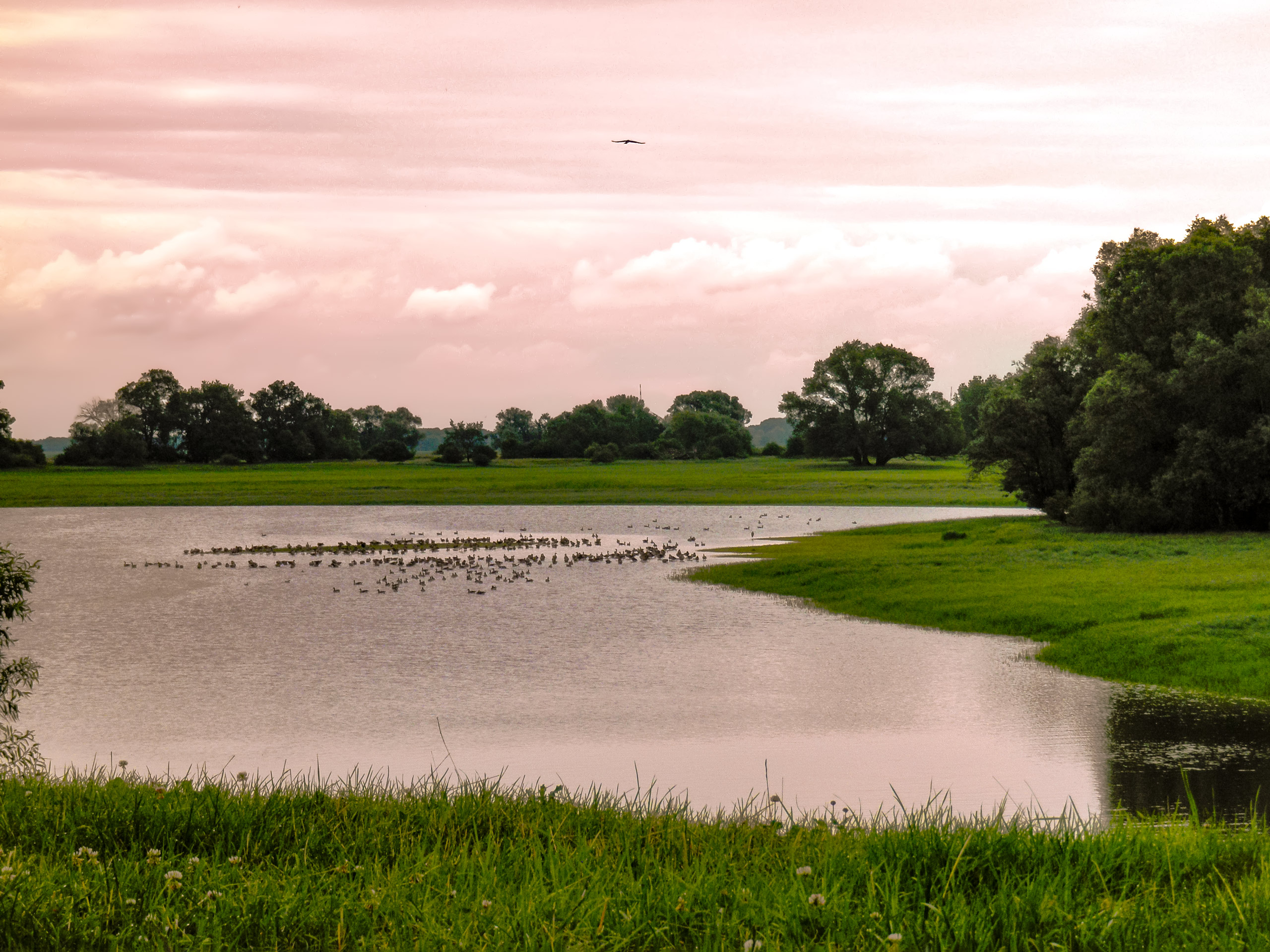 Elbe banks in Tangermünde Discover the beautiful nature along the Elbe