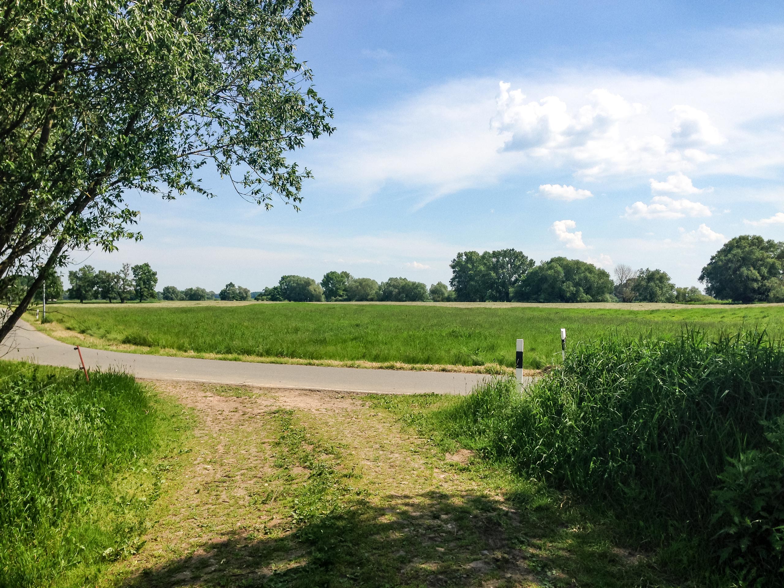 Elbe cycle path shortly after Schnackenburg village Germany