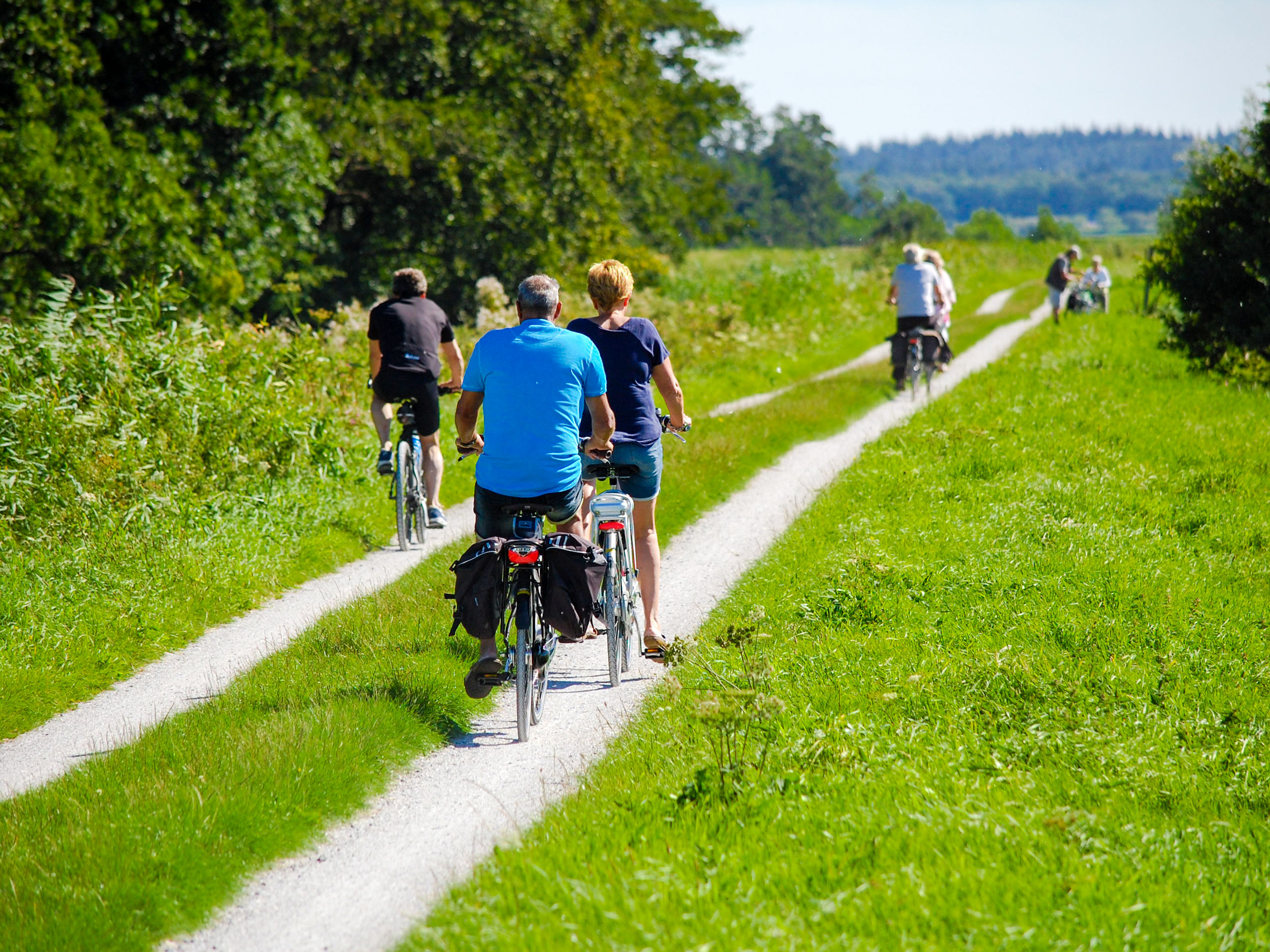 Cycling trip on the forest road