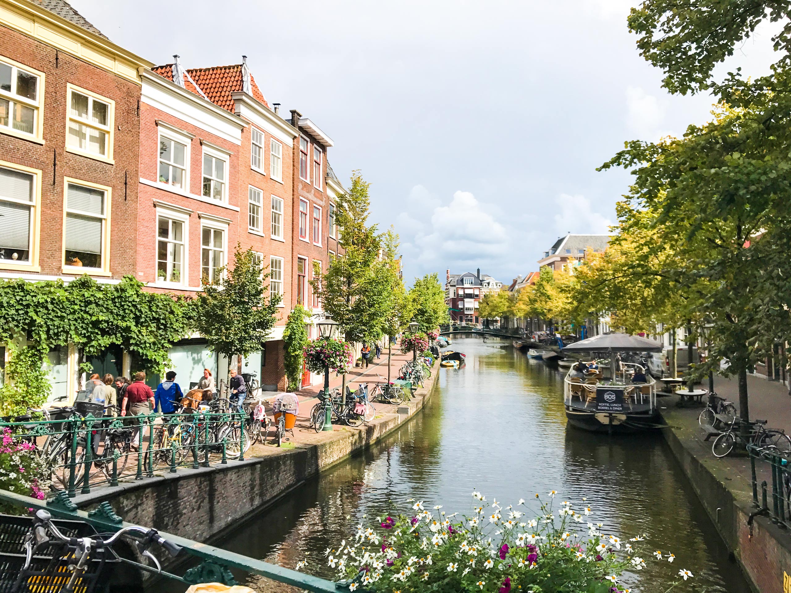 Canal street landscape