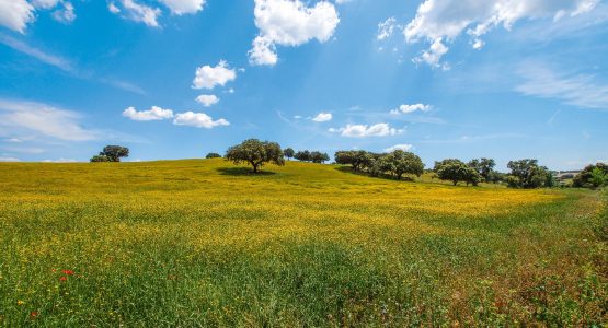 Alentejo and the Algarve Cycling Tour