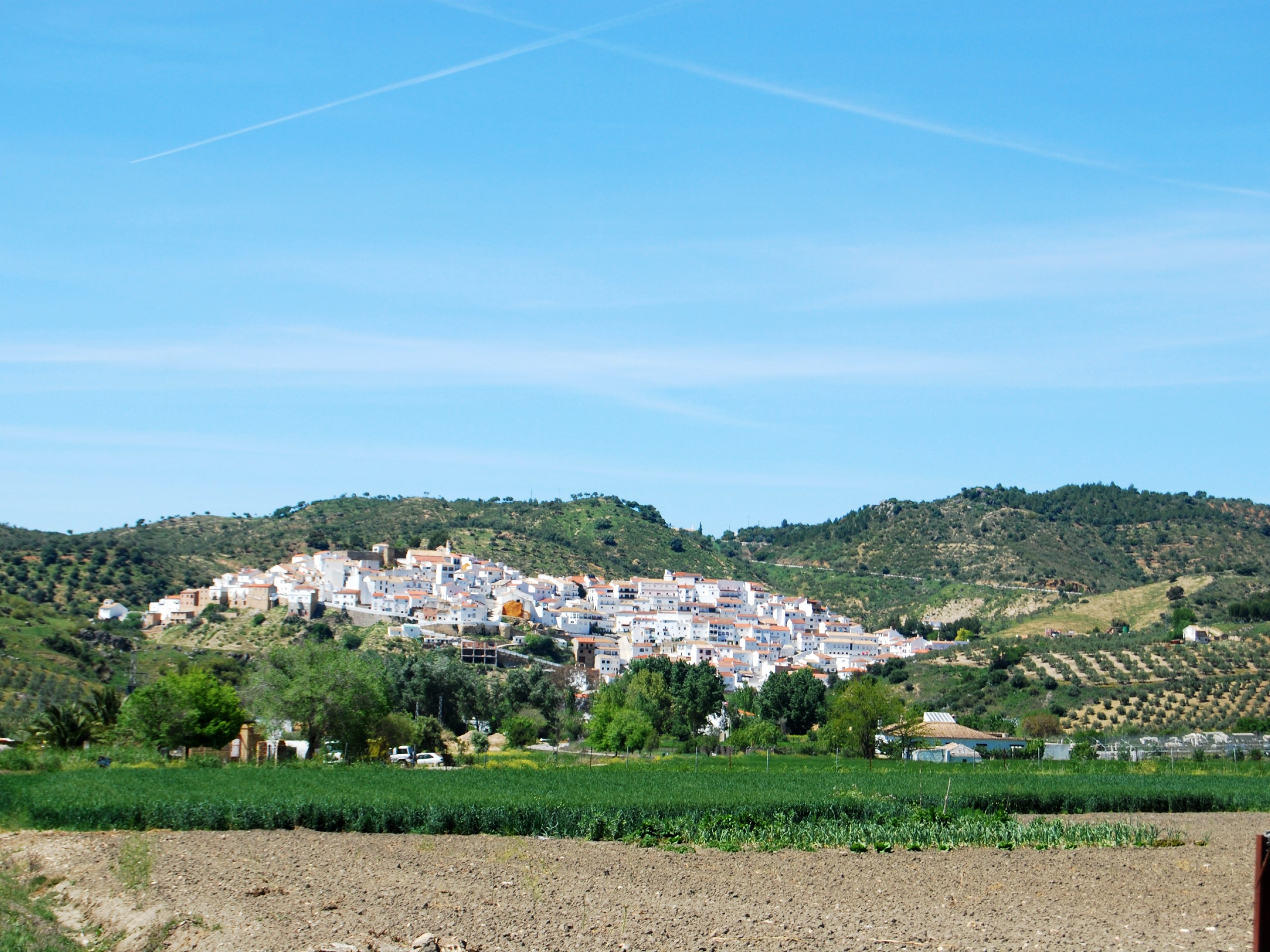 Torre Alhaquime