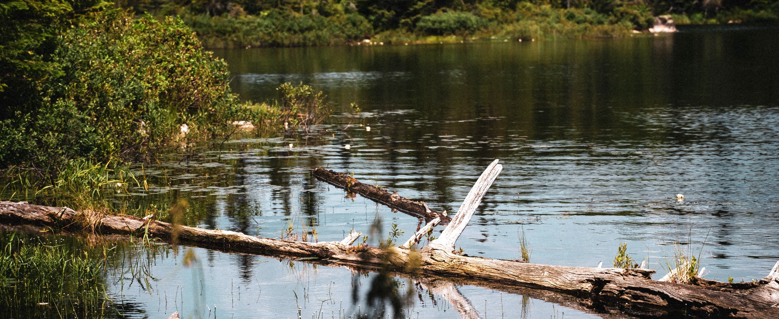 Bazin River Paddling Adventure