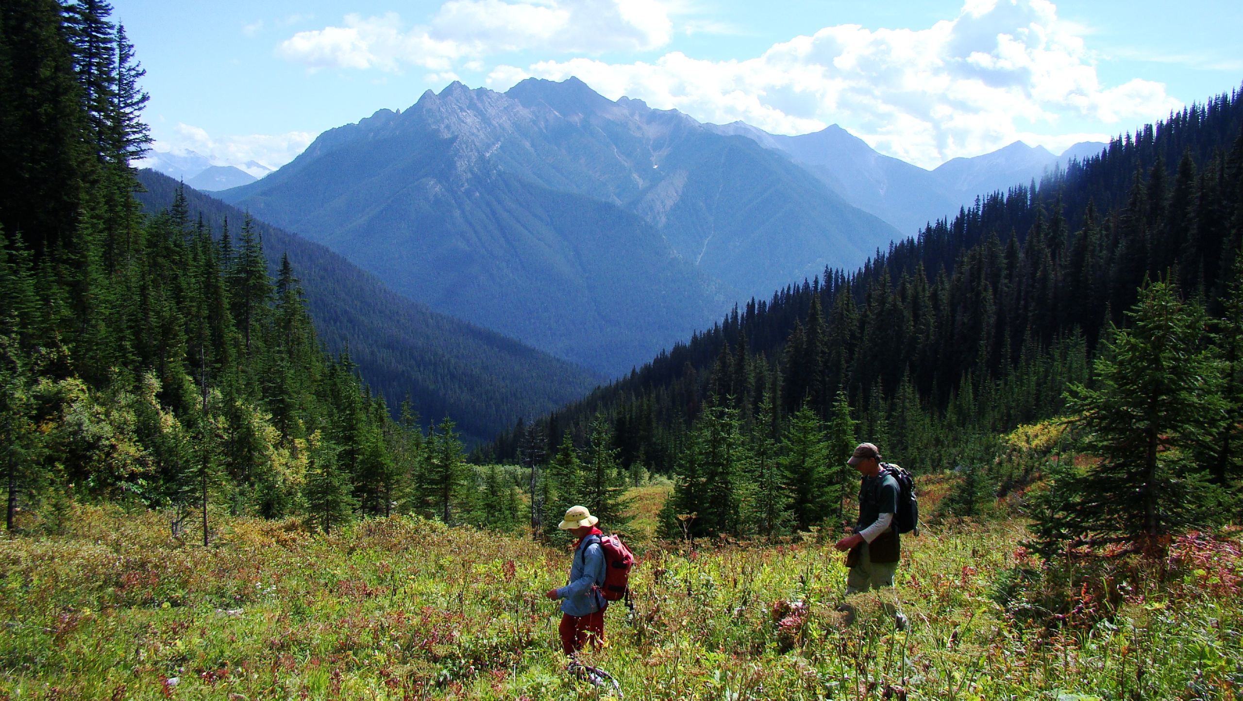 Columbia Valley Hiking Tour