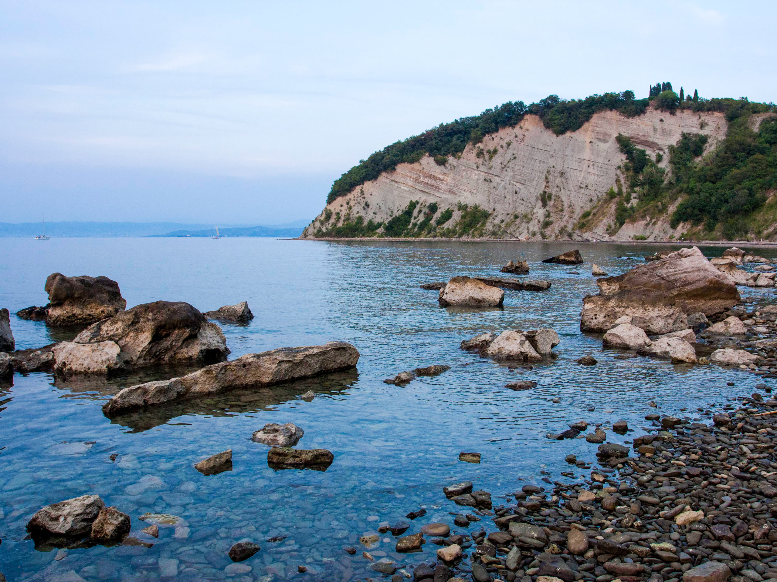 Strunjan rocky coast