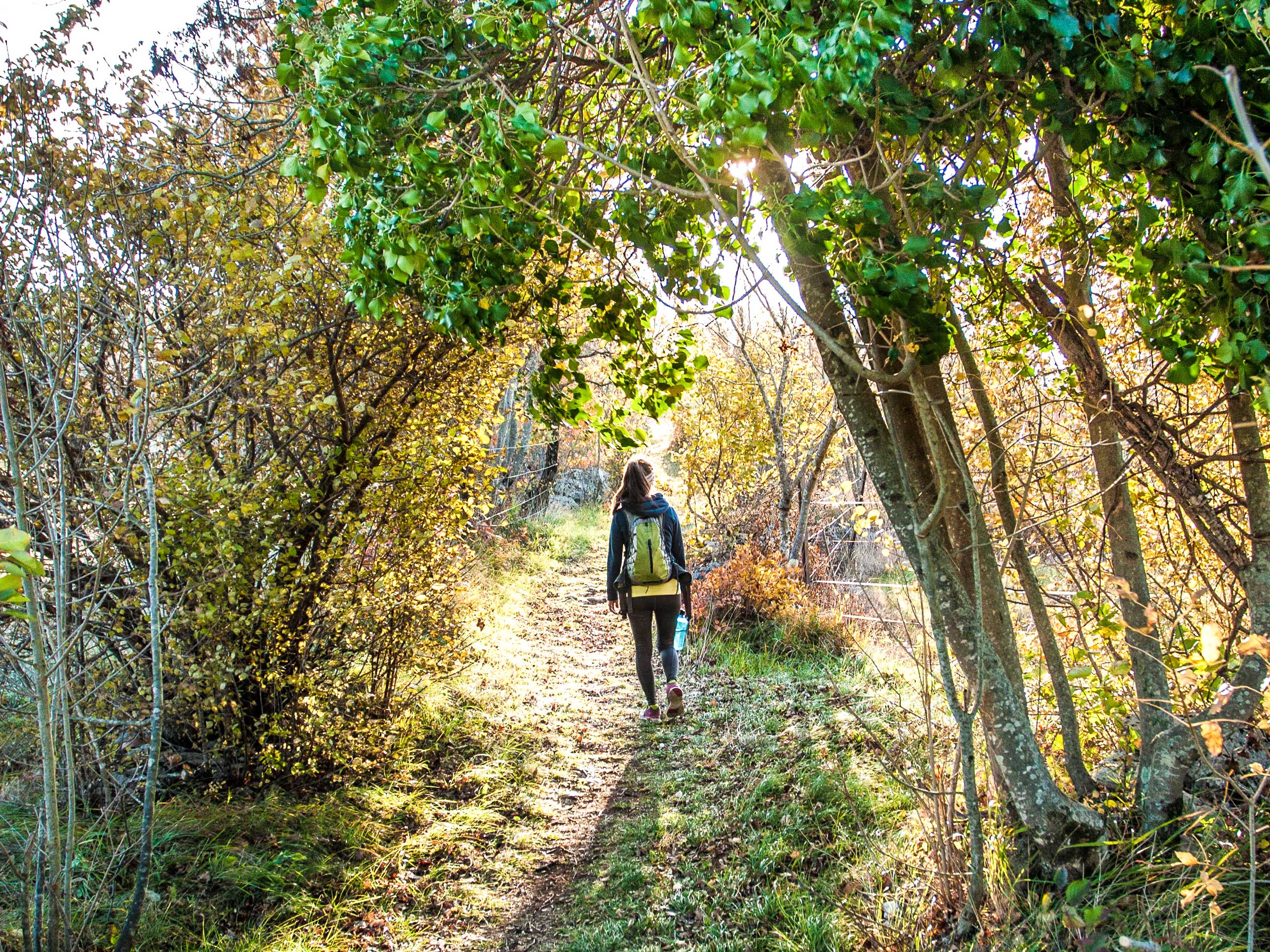 Vineyard hiking in Slovenia