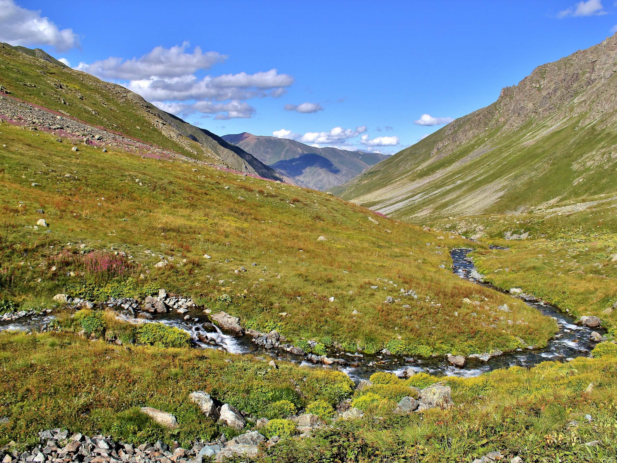 Small creek in the meadows in Pontic alps