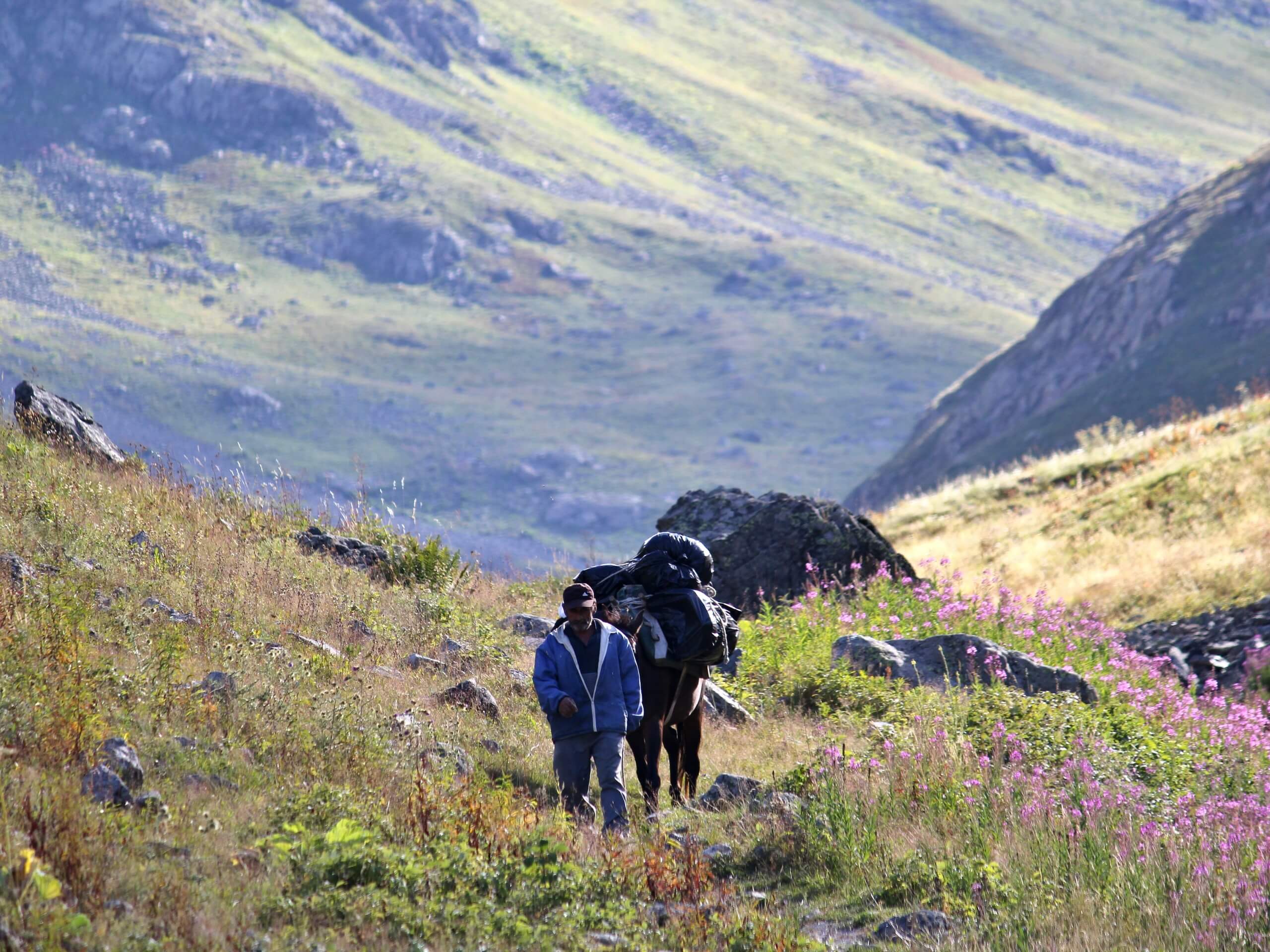 Guide with a horse in Kackar Mountains