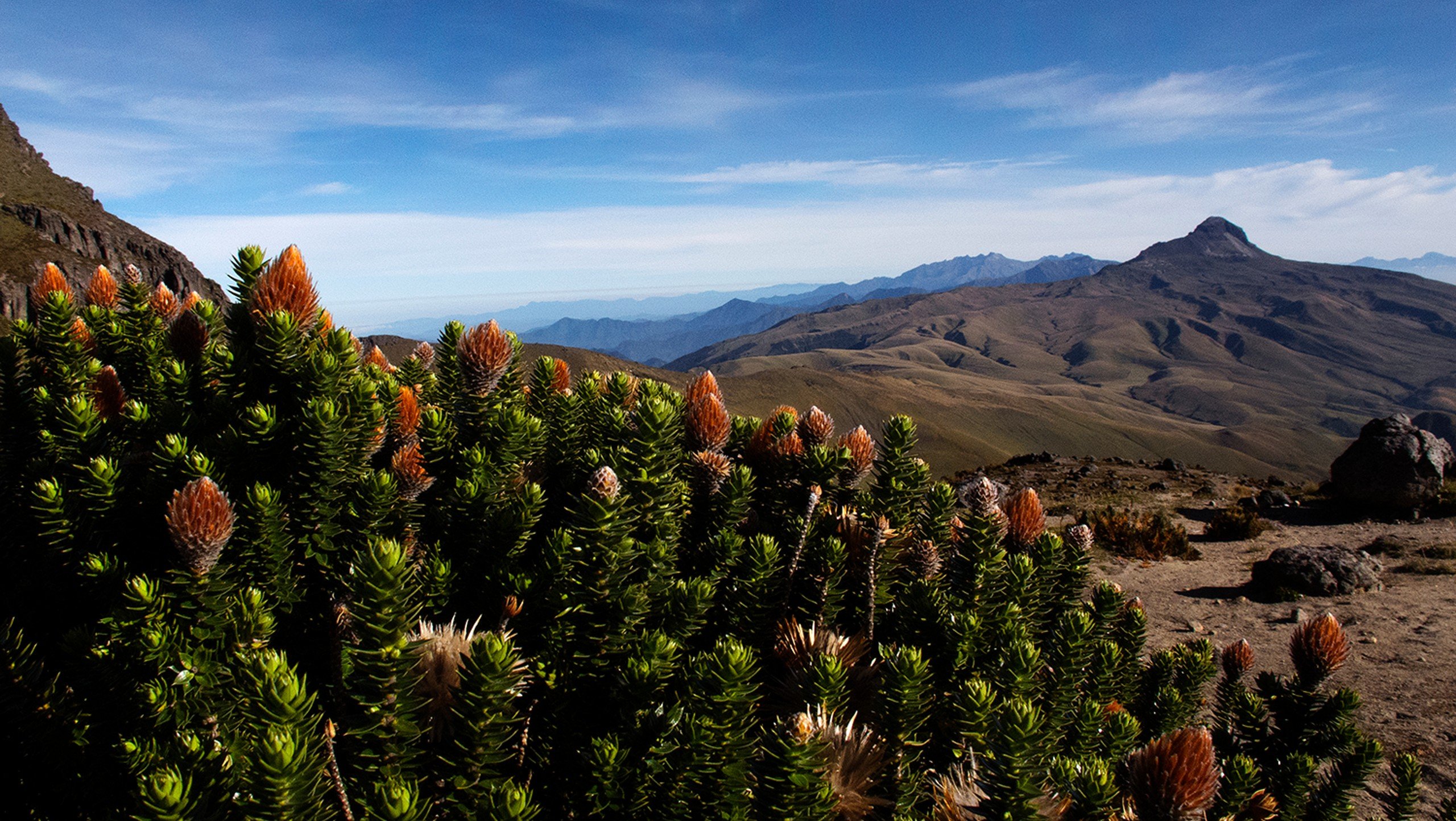 Climbing Ecuador’s Volcanoes Tour