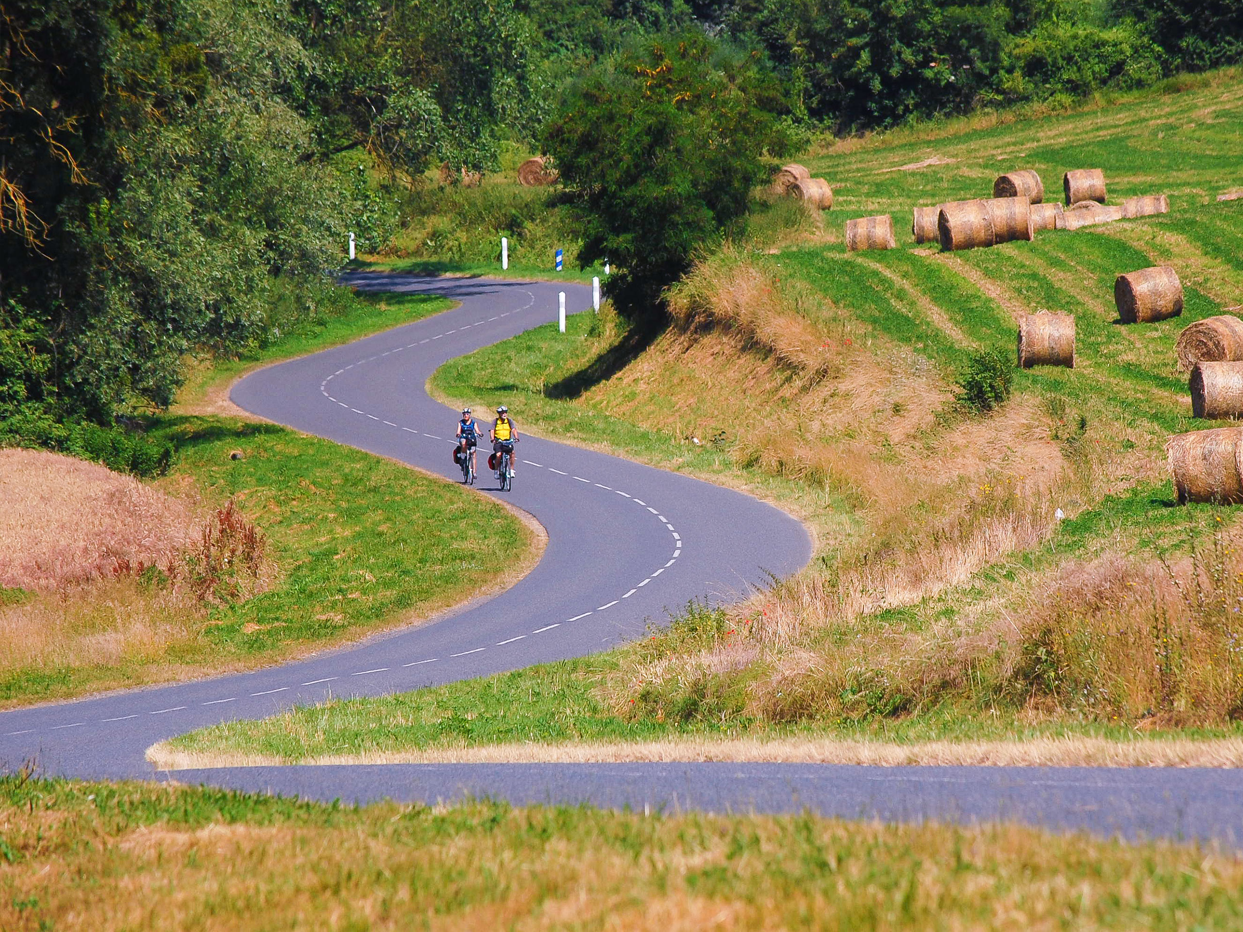 Cycling Way Along Green Fields