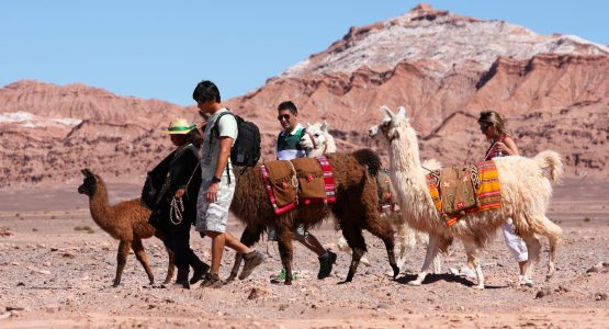 Chile’s Deserts Lakes and Peaks Tour