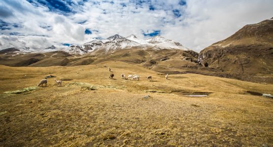 Lodge-Based Palomani High Pass Trek