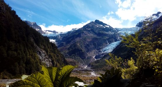 Pumalín Douglas Tompkins National Park & Yelcho Glacier Tour