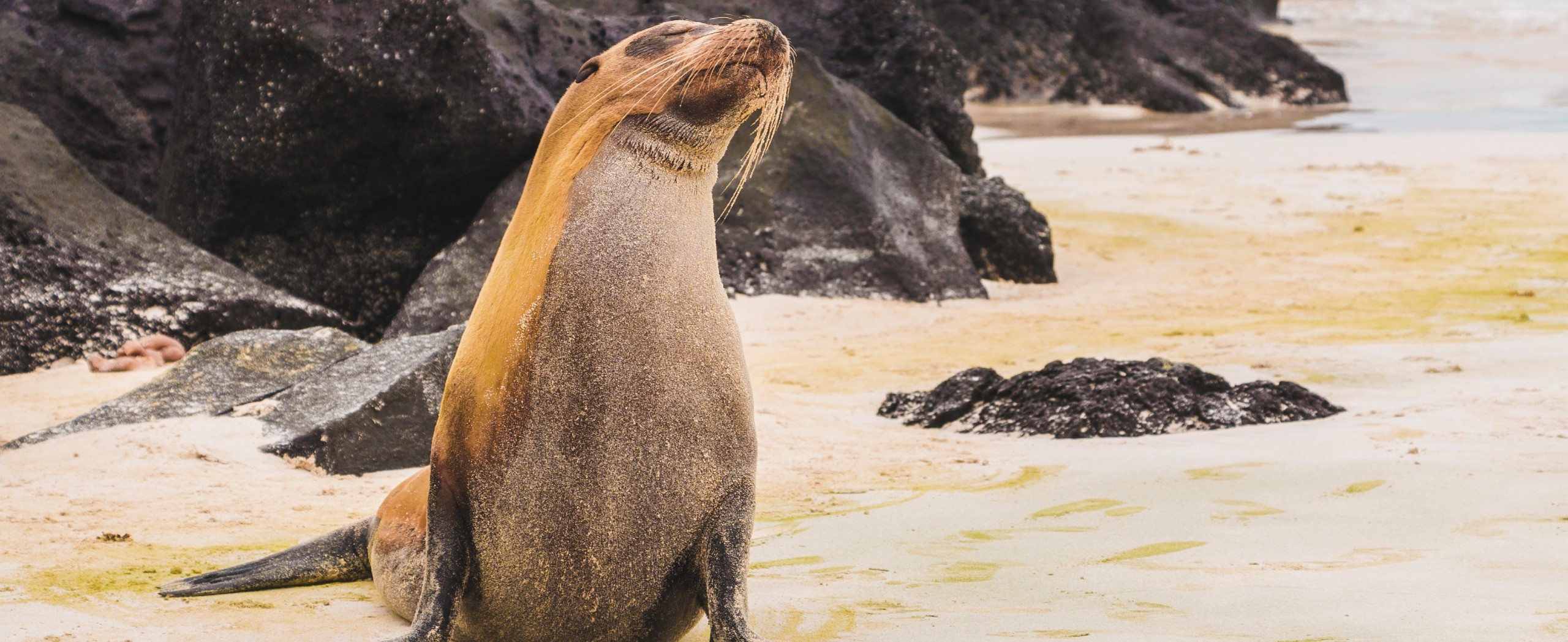 Galapagos Island Hopping Adventure