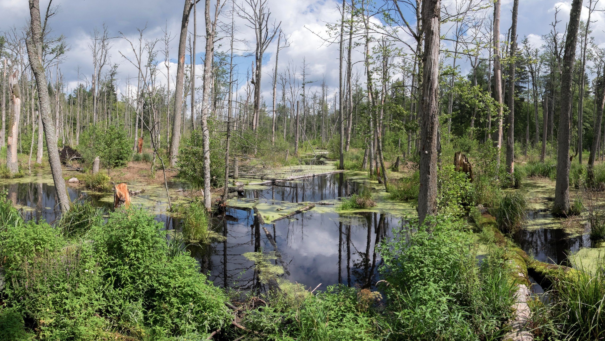 Eastern Poland Family-Friendly Bike Tour