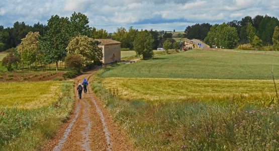 Walking the last 100 km of Way of St. James Tour